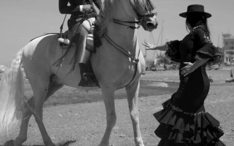 Danse du cheval andalou et sa danseuse de flamenco